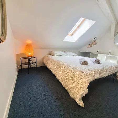 Appartement L'entracte, Theatre Et Cathedrale, Duplex Cosy, Climatisation Tours