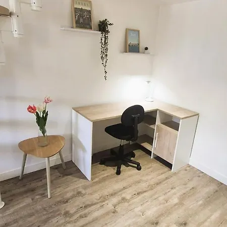 Appartement L'entracte, Theatre Et Cathedrale, Duplex Cosy, Climatisation Tours