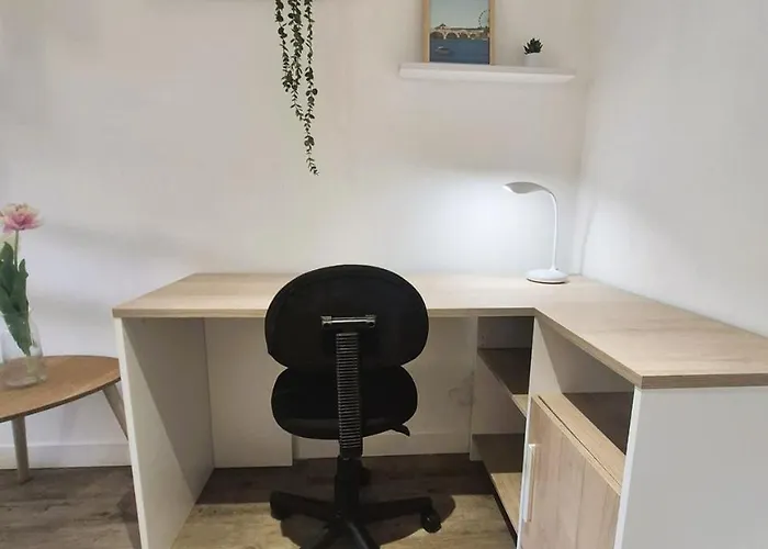 L'entracte, Theatre Et Cathedrale, Duplex Cosy * Tours